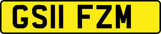 GS11FZM