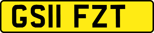 GS11FZT