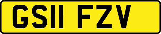 GS11FZV