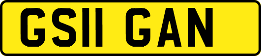 GS11GAN