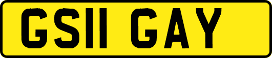 GS11GAY