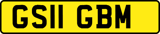 GS11GBM