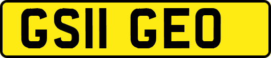 GS11GEO