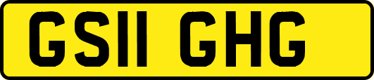 GS11GHG