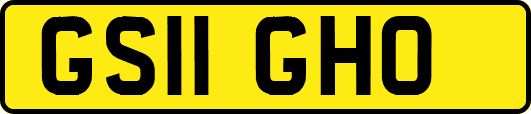 GS11GHO