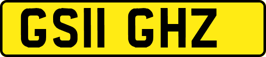 GS11GHZ