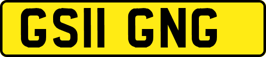 GS11GNG