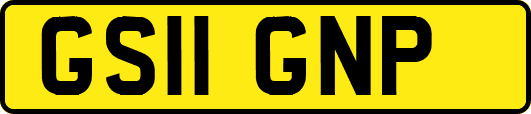 GS11GNP