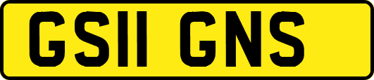 GS11GNS