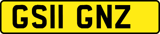 GS11GNZ