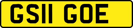 GS11GOE