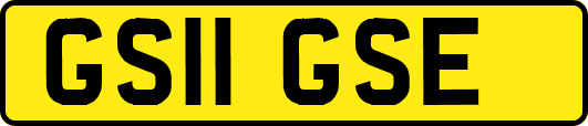 GS11GSE