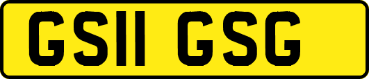 GS11GSG