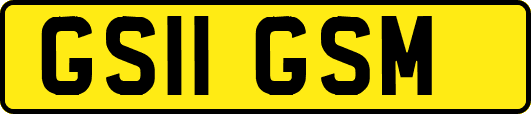 GS11GSM