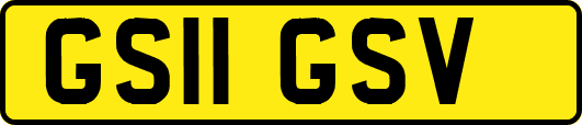 GS11GSV