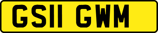 GS11GWM