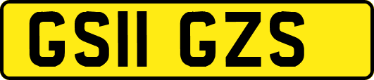 GS11GZS