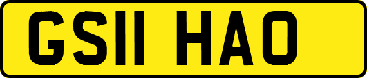 GS11HAO