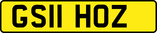 GS11HOZ