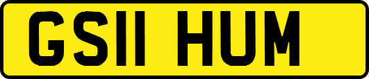 GS11HUM