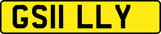 GS11LLY