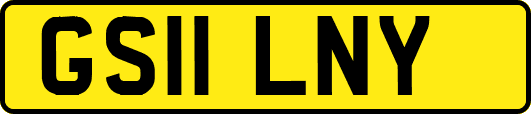 GS11LNY