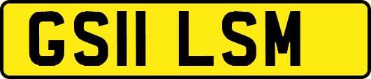 GS11LSM