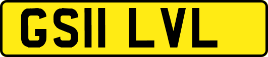 GS11LVL