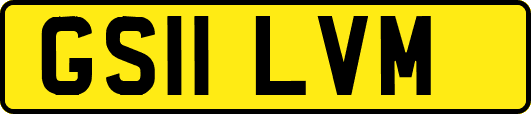 GS11LVM