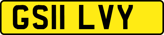 GS11LVY