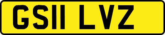 GS11LVZ