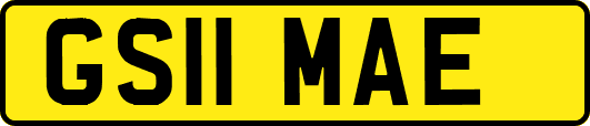 GS11MAE