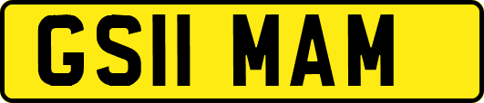 GS11MAM