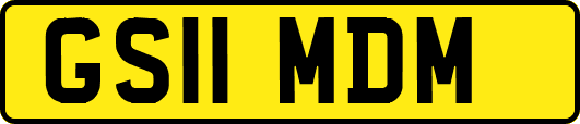 GS11MDM