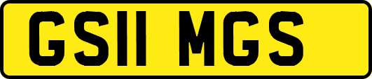 GS11MGS