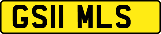GS11MLS