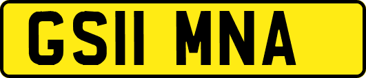 GS11MNA