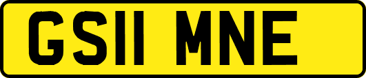 GS11MNE