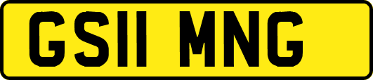 GS11MNG
