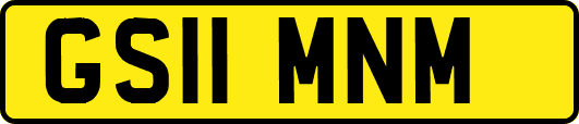GS11MNM