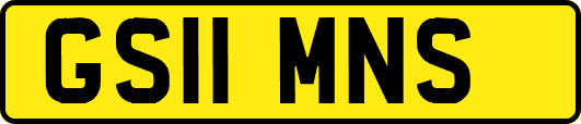 GS11MNS