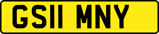 GS11MNY