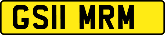 GS11MRM