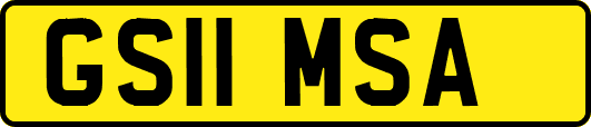 GS11MSA