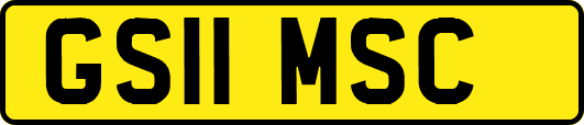 GS11MSC