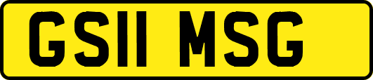 GS11MSG