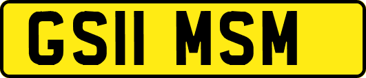 GS11MSM