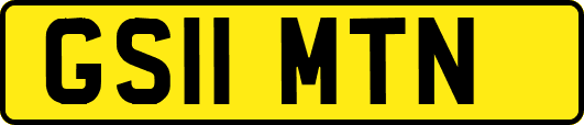 GS11MTN