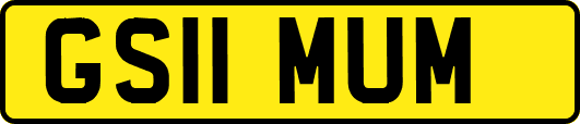 GS11MUM