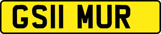 GS11MUR